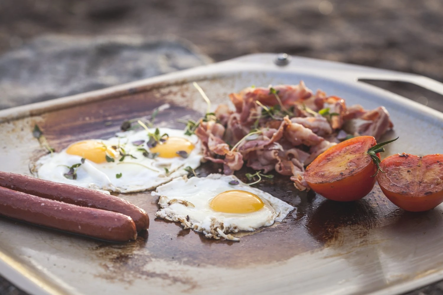 Primus OpenFire Pan Small Grillpfanne 2 Primus OpenFire Pan Small Grillpfanne – Bild 2